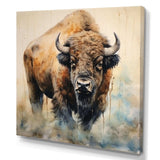 Buffalo Majesty - Animals Canvas Wall Art