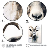 Goat Grazers - Animals Canvas Wall Art