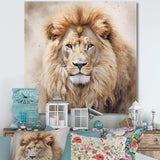 Fierce Lion II - Animals Canvas Wall Art