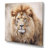 Fierce Lion II - Animals Canvas Wall Art