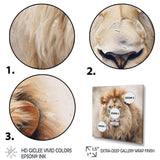 Fierce Lion II - Animals Canvas Wall Art