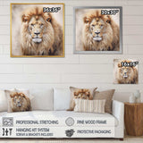 Fierce Lion II - Animals Canvas Wall Art