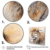 Fierce Lion III - Animals Canvas Wall Art