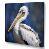 Majestic Pelican Seabird V - Animals Canvas Wall Art