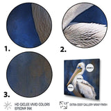 Majestic Pelican Seabird V - Animals Canvas Wall Art