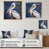 Majestic Pelican Seabird V - Animals Canvas Wall Art