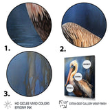 Majestic Pelican II - Animals Canvas Wall Art