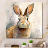 Sweet Rabbit II - Animals Canvas Wall Art