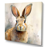 Sweet Rabbit II - Animals Canvas Wall Art