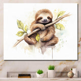 Lazy Sloth - Animals Canvas Wall Art