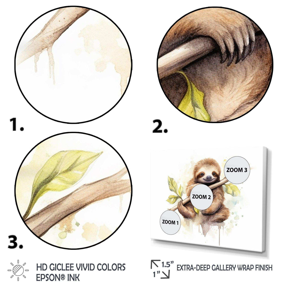 Lazy Sloth - Animals Canvas Wall Art