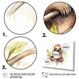 Lazy Sloth - Animals Canvas Wall Art