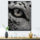 Fierce Tiger Eye - Tiger Framed Canvas Art