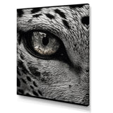Fierce Tiger Eye - Tiger Framed Canvas Art