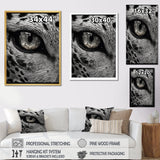Fierce Tiger Eye - Tiger Framed Canvas Art