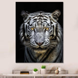 Fierce White Tiger II - Animals Canvas Wall Art