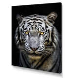 Fierce White Tiger II - Animals Canvas Wall Art