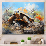 Turtle On Land I - Animals Canvas Wall Art