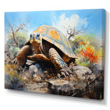 Turtle On Land I - Animals Canvas Wall Art