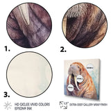 Wild Walrus - Walrus Bedroom Wall Art