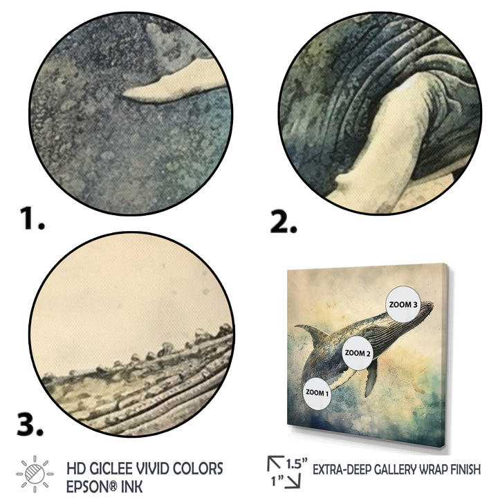 Graceful Whale - Whale Canvas Wall Art