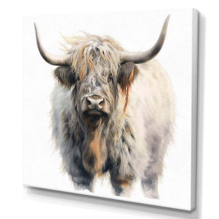Wild Yak VI - Animals Canvas Wall Art