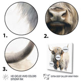 Wild Yak VI - Animals Canvas Wall Art