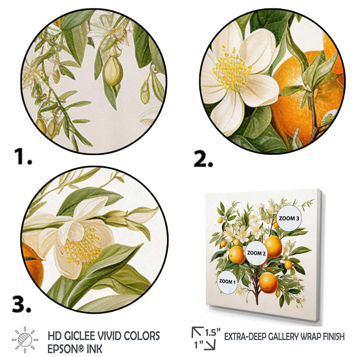 Orange Tree - Food &amp; Beverage Canvas Wall Art