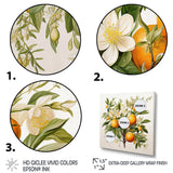 Orange Tree - Food & Beverage Canvas Wall Art