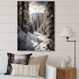 Frosty Snow Forest Path II - Landscapes Canvas Wall Art