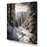 Frosty Snow Forest Path II - Landscapes Canvas Wall Art