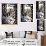 Frosty Snow Forest Path II - Landscapes Canvas Wall Art