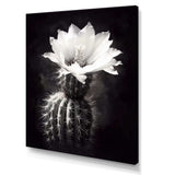 Black White Cactus Minimal Collage - Floral Canvas Wall Art