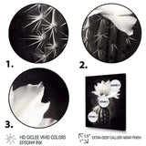 Black White Cactus Minimal Collage - Floral Canvas Wall Art