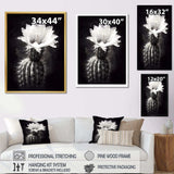 Black White Cactus Minimal Collage - Floral Canvas Wall Art