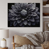 Black White Dahlia Garden Palette I - Floral Canvas Wall Art