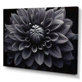 Black White Dahlia Garden Palette I - Floral Canvas Wall Art