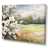 White Grey Dogwood At The Farm I - Floral Canvas Wall Art