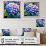 Blue Green Hydrangea Bloom - Floral Canvas Wall Art