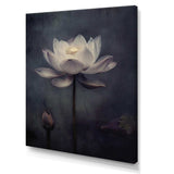 Grey Monochrome Lotus Symphony III - Floral Canvas Wall Art