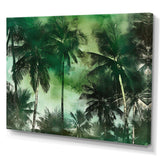 Monochrome Palm Tree Paradise I - Floral Canvas Wall Art