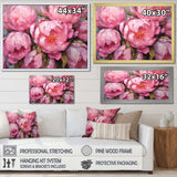 Pink Peony Perfection I - Floral Canvas Wall Art