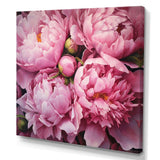 Pink Green Peony Captivating II - Floral Canvas Wall Art