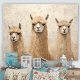 Minimalism Cute Alpacas - Alpaca Canvas Wall Art