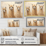 Minimalism Cute Alpacas - Alpaca Canvas Wall Art