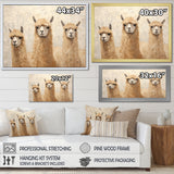 Minimalism Cute Alpacas - Alpaca Canvas Wall Art