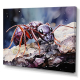 Enchanted Microcosm Amethyst Ant - Ant Framed Canvas Art