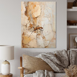 Minimalism Ant Beige Collage - Ant Framed Canvas Art