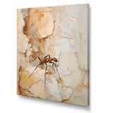 Minimalism Ant Beige Collage - Ant Framed Canvas Art