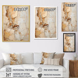 Minimalism Ant Beige Collage - Ant Framed Canvas Art